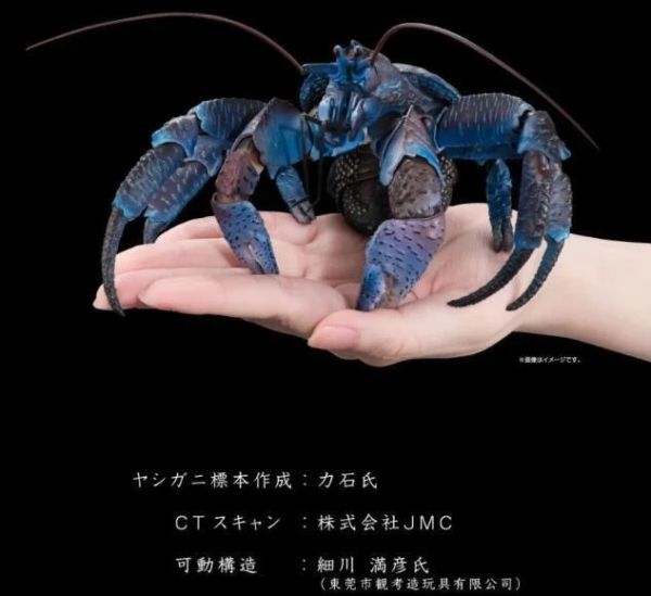萬代 BANDAI 盒玩 生物大圖鑑 椰子蟹 PB 