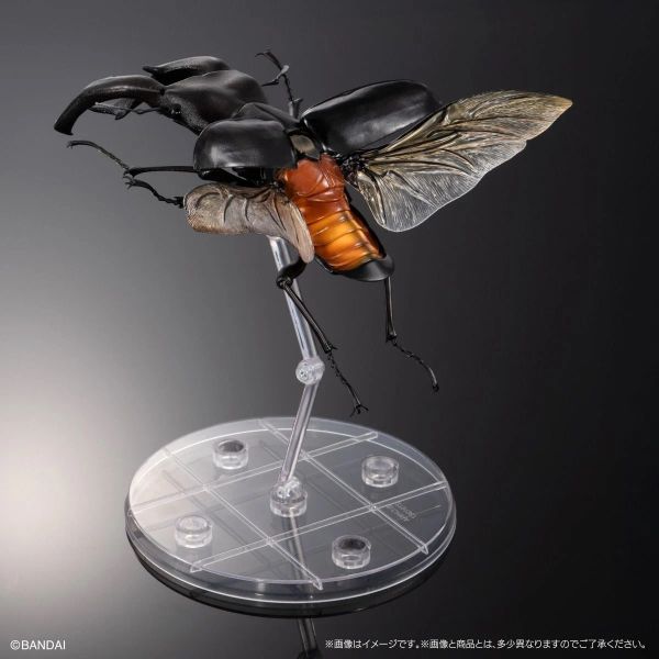 預購26年3月 萬代 盒玩 生物大圖鑑PREMIUM 巨顎叉角鍬形蟲（黑） 