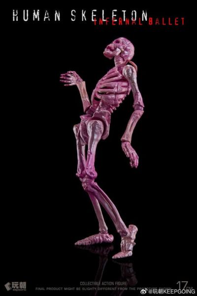 預購2月 玩朝 生物課堂 1/12 人體骨骼 骷髏素體 成品 關節可動模型 