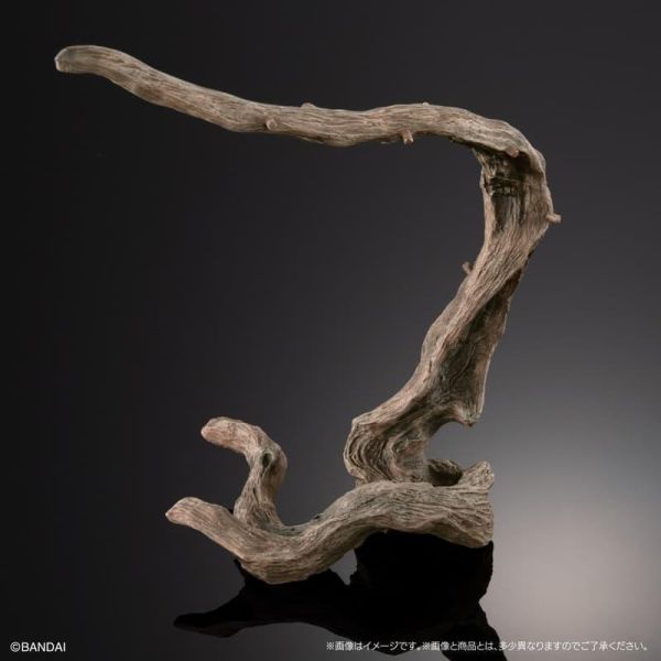 預購5月 萬代 代理版 扭蛋袋裝 生物大圖鑑PREMIUM 高冠變色龍 全1款 