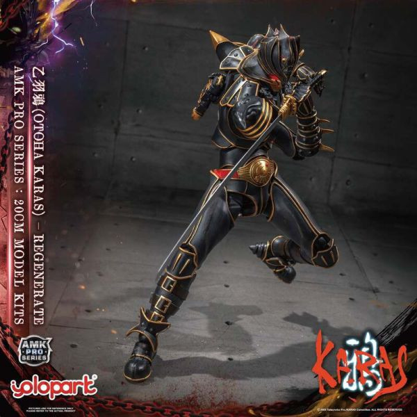 YOLOPARK AMK PRO系列 鴉KARAS 乙羽鴉 新生版 預組裝可動模型 