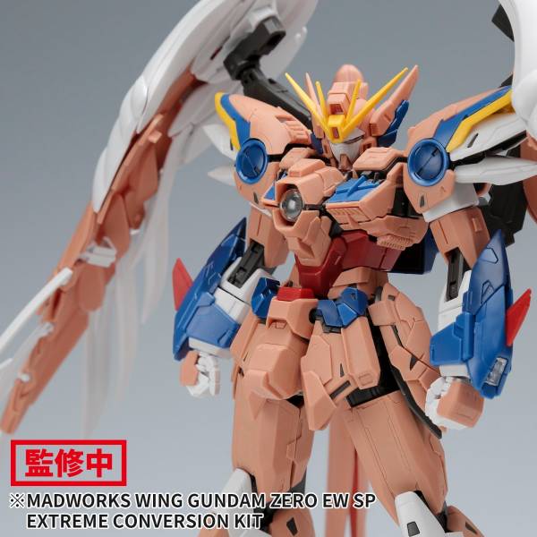 MADWORKS MG 1/100 飛翼零式特裝型 Ver.Ka <專用GK改套> Ver.蛇先生 <本體+翅膀> 