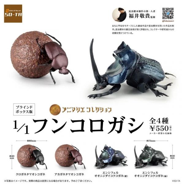 日版 SO-TA 盒玩 1/1 蜣螂 糞金龜 甲蟲 中盒4入 