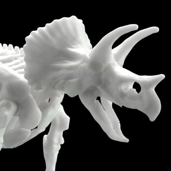 萬代 BANDAI 組裝模型 三角龍 恐龍組裝模型 LIMEX LIMEX骨骼 恐龍骨骼 