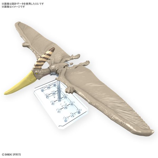<不挑盒況> 萬代 恐龍組裝模型 翼手龍 組裝模型 