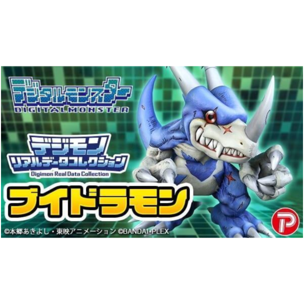 預購10月 萬代 PB限定 PLEX 數碼寶貝 真實數據 收藏 V龍獸 