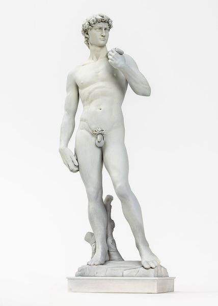 StudioSYUTO 好微笑 代理版 1/35 大衛像 組裝模型 