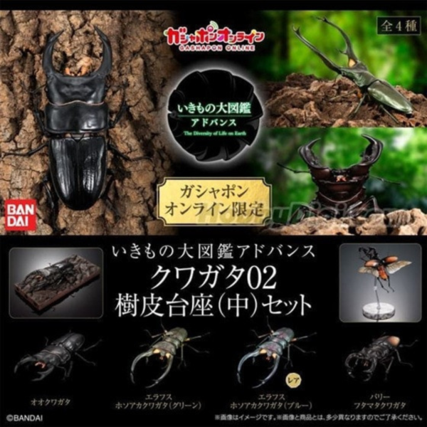 預購10月 萬代 扭蛋 生物大圖鑑 鍬形蟲02 一套4款 附樹皮底座(中) 