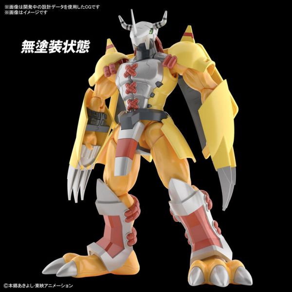 萬代 BANDAI 組裝模型 FRS 數碼寶貝 戰鬥暴龍獸 動畫版 