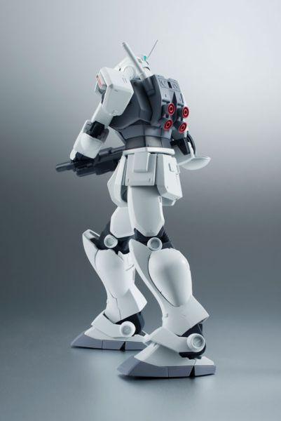 萬代 代理版 ROBOT魂 SIDE MS RGM-79D 吉姆寒帶型 ver ANIME 