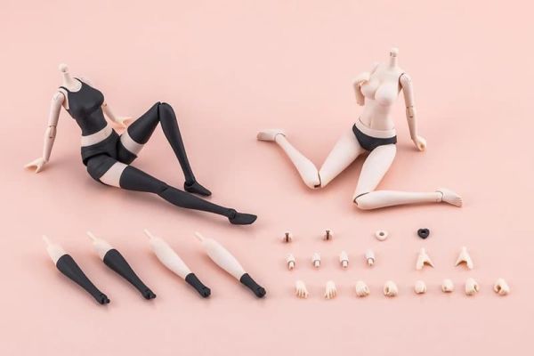 預購26年6月 壽屋 創彩少女庭園 裝扮用身體【L】 顏色C 一般版 組裝模型 