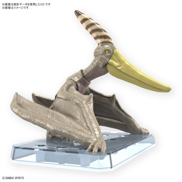<不挑盒況> 萬代 恐龍組裝模型 翼手龍 組裝模型 