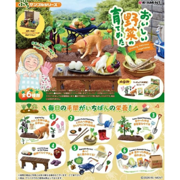 預購9月 Re-ment 盒玩 迷你系列 栽培美味的蔬菜 中盒6入 