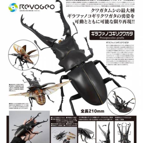 海洋堂 REVO GEO 擬真 長頸鹿鋸鍬形蟲 可動完成品 