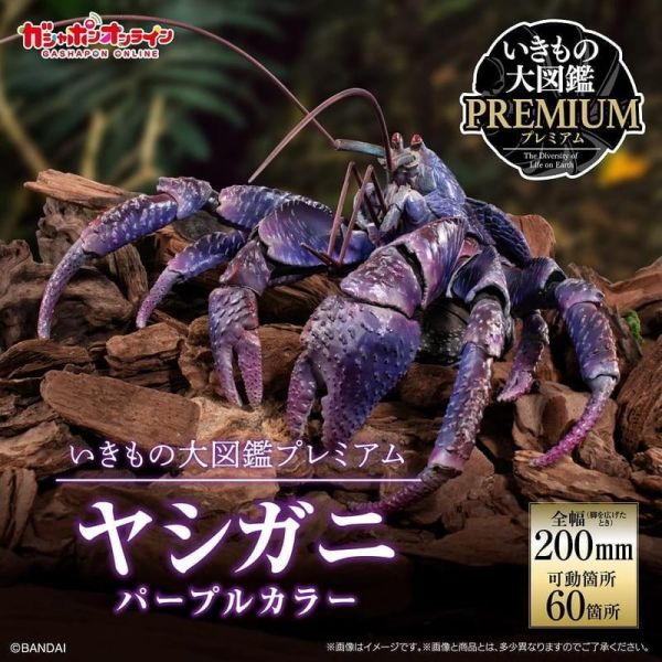 預購8月 萬代 生物大圖鑑PREMIUM 椰子蟹 紫色 