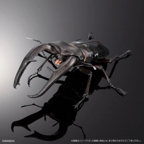 預購26年3月 萬代 盒玩 生物大圖鑑PREMIUM 巨顎叉角鍬形蟲（黑） 