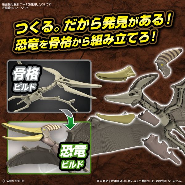 <不挑盒況> 萬代 恐龍組裝模型 翼手龍 組裝模型 