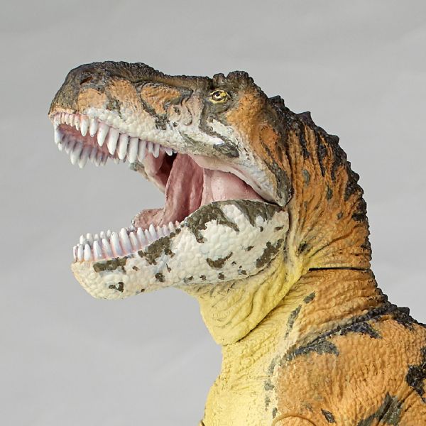 海洋堂 Sofubi Toy Box 霸王龍 可動完成品