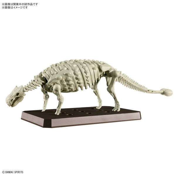 萬代 BANDAI  甲龍 組裝模型 