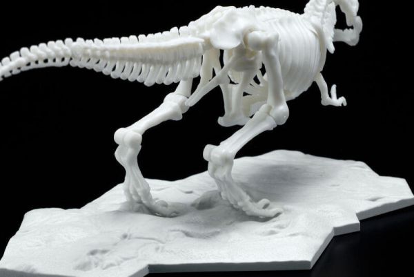 萬代 BANDAI 組裝模型 暴龍 恐龍組裝模型 LIMEX LIMEX骨骼 恐龍骨骼 