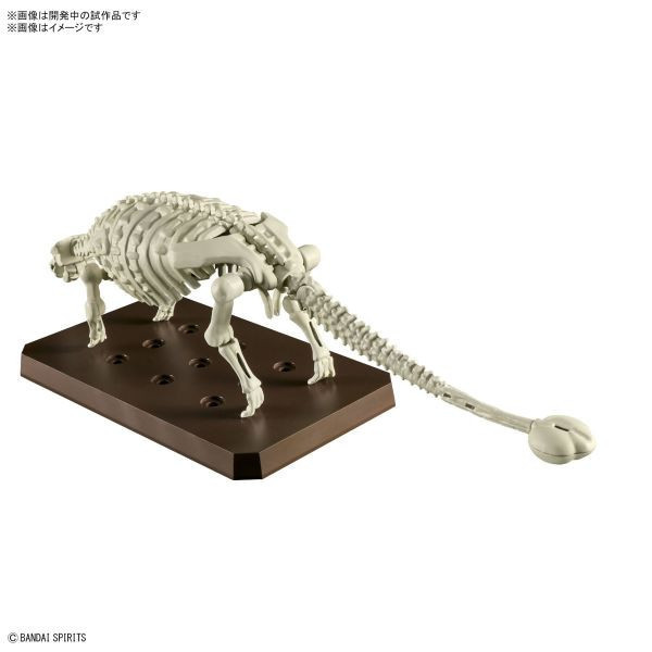 萬代 BANDAI  甲龍 組裝模型 