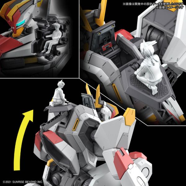 萬代 BANDAI 組裝模型 境界戰機1/48 MAILeS 建武 初回限定 附透明外裝 