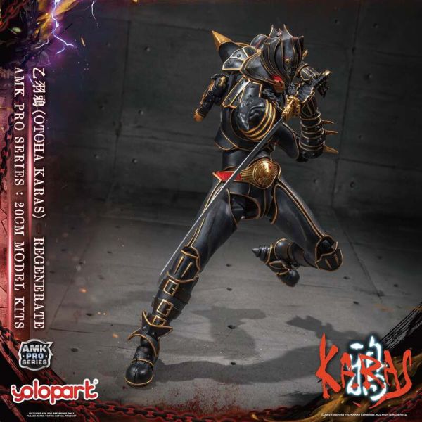 預購12月  YOLOPARK AMK PRO系列 鴉KARAS 乙羽鴉 新生版 預組裝可動模型 L1121