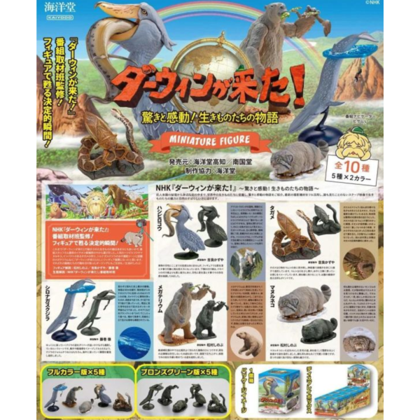 預購11月 海洋堂 達爾文來了! 生物物語 迷你公仔 一中盒 (全10種) 