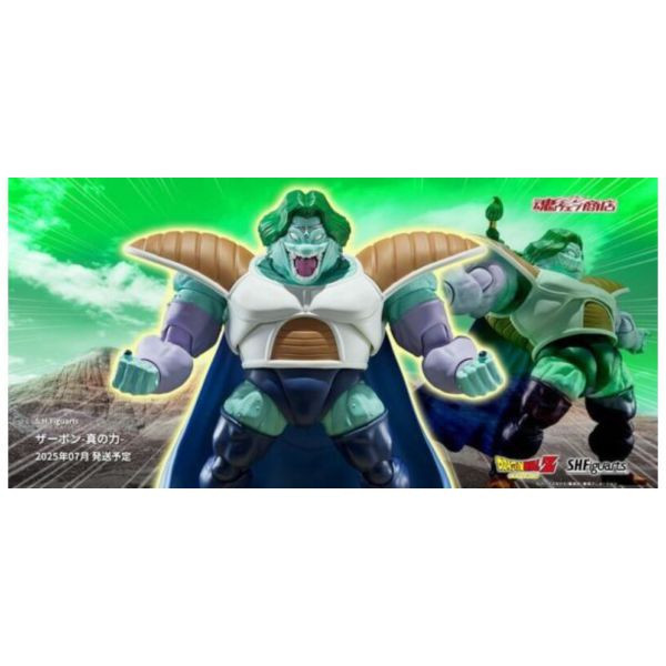代理版 魂商店 S.H.Figuarts SHF 七龍珠 尚波 真正的力量 