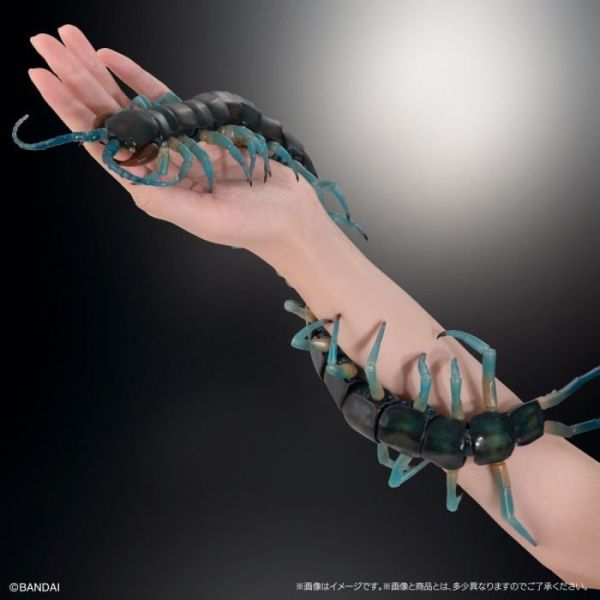 預購26年2月 萬代 生物大圖鑑 琉神蜈蚣