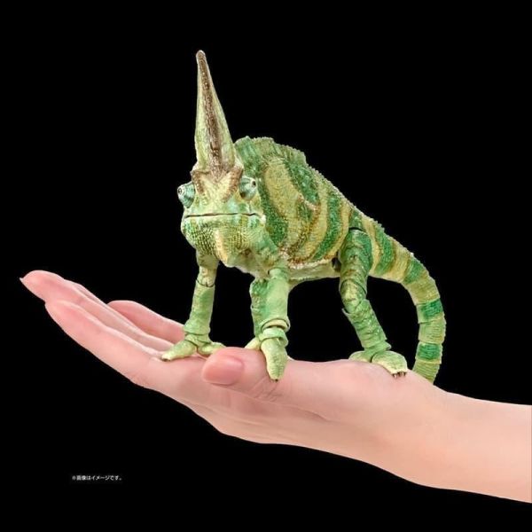 預購5月 萬代 代理版 扭蛋袋裝 生物大圖鑑PREMIUM 高冠變色龍 全1款 