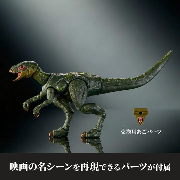 預購7月 Mattel JKM94-9863 侏羅紀世界 哈蒙德收藏 稜齒龍 