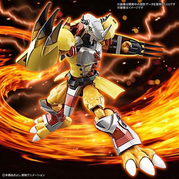 不挑盒況 萬代 BANDAI 組裝模型 FRS 數碼寶貝 戰鬥暴龍獸 動畫版 
