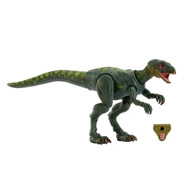 預購7月 Mattel JKM94-9863 侏羅紀世界 哈蒙德收藏 稜齒龍 