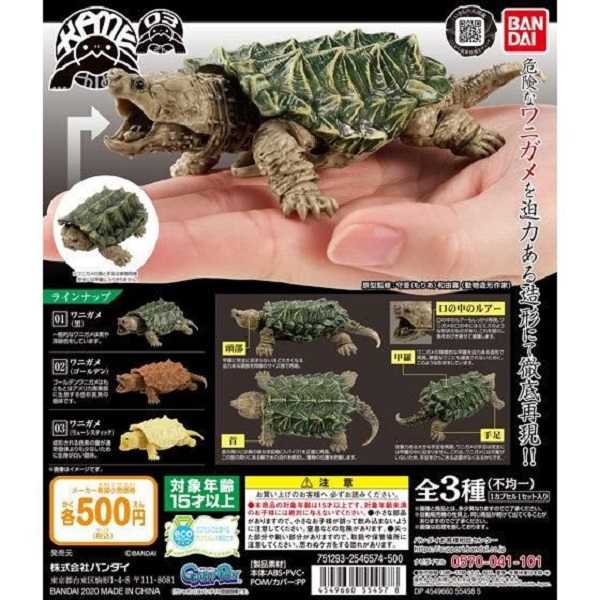 BANDAI轉蛋 烏龜環保扭蛋P3 鱷龜 