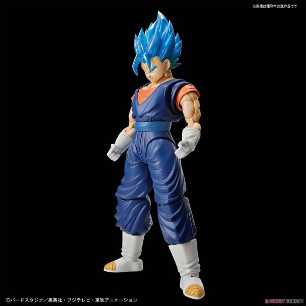 萬代 BANDAI Figure-rise Standard 超級賽亞人之神超級賽亞人達洛特 