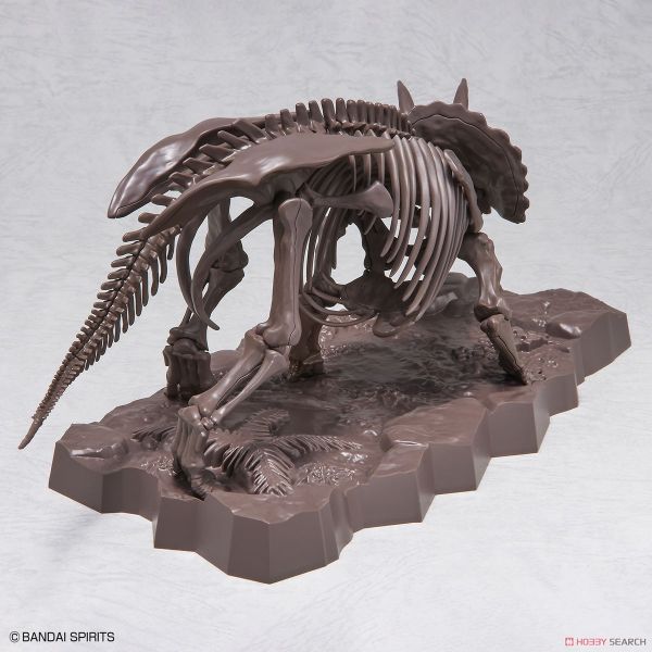萬代 BANDAI 組裝模型 1/32 幻想骨骼系列 三角龍 