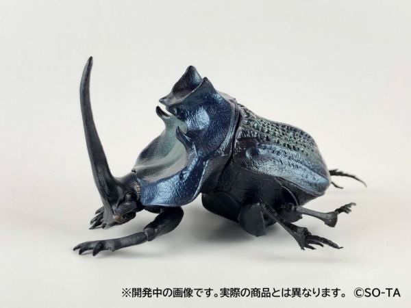 日版 SO-TA 盒玩 1/1 蜣螂 糞金龜 甲蟲 中盒4入 