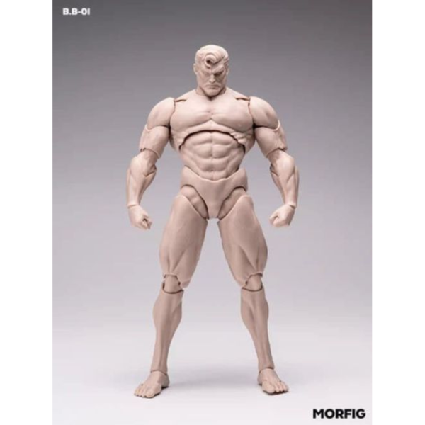 預購26年Q2 INART Male Body β 1/12 素體 超可動人偶 白膚版 