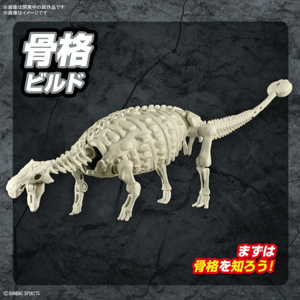 萬代 BANDAI  甲龍 組裝模型 