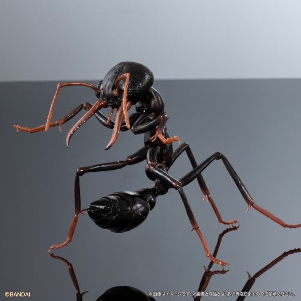 預購26年1月 萬代 生物大圖鑑 鬥牛犬蟻 附樹皮底座(中) 一套3種 