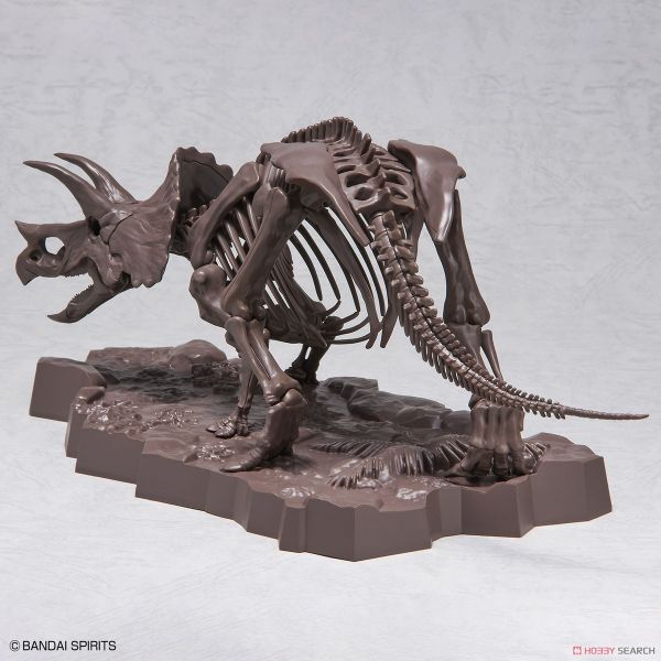 萬代 BANDAI 組裝模型 1/32 幻想骨骼系列 三角龍 