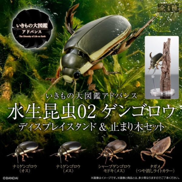 預購7月 萬代 盒玩 生物大圖鑑 水生昆蟲02 日本大龍蝨 附展示支架組 中盒4入 