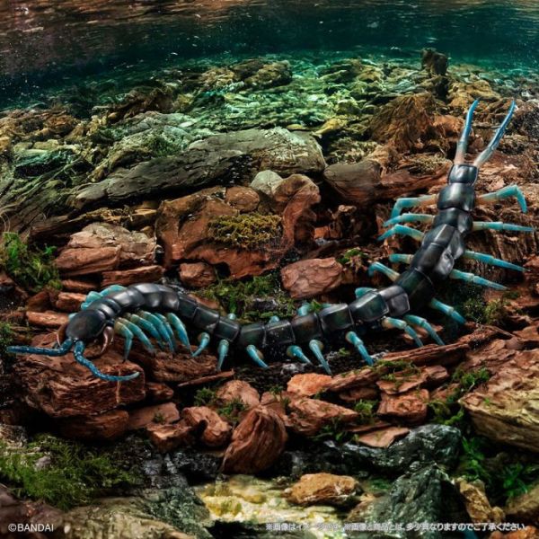 預購26年2月 萬代 生物大圖鑑 琉神蜈蚣