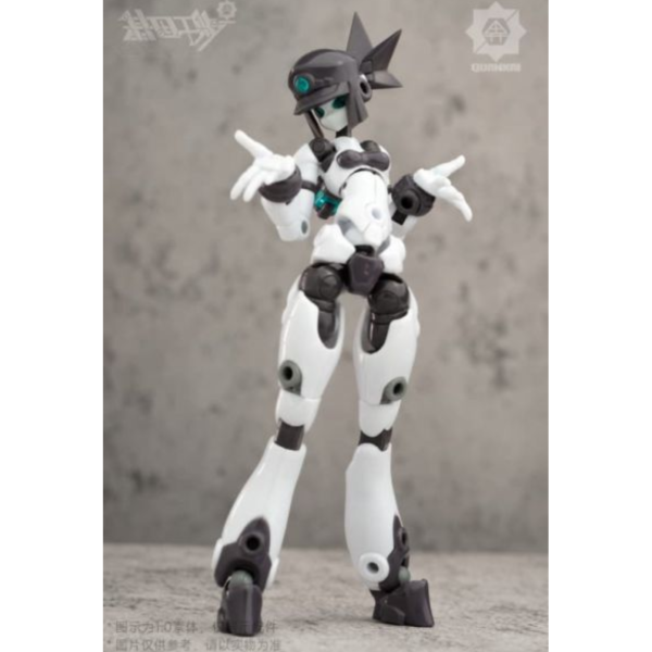 全開工作室 基因干涉 QK-ST-002 素體套組02 