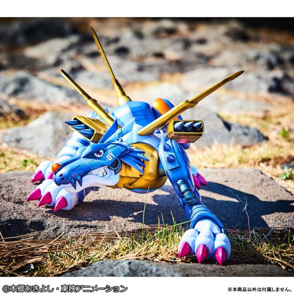 預購26年1月 MH限定 GEM 數碼寶貝 鋼鐵加魯魯 石田大和 再版 