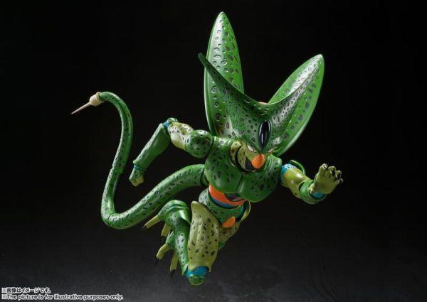 萬代 代理版 SHF 七龍珠 西魯 賽魯 第一形態 再版 可動 完成品 