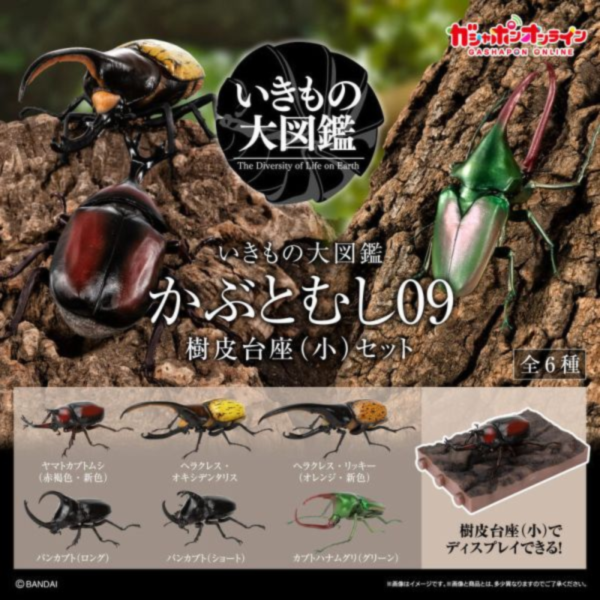預購8月 萬代 生物大圖鑑 甲蟲 獨角仙 大兜蟲 09 木質底座套組 全六種 
