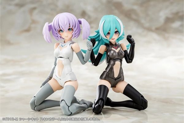 預購11月 壽屋 女神裝置 B1R-M 軀幹套裝 白色素體 顏色A 