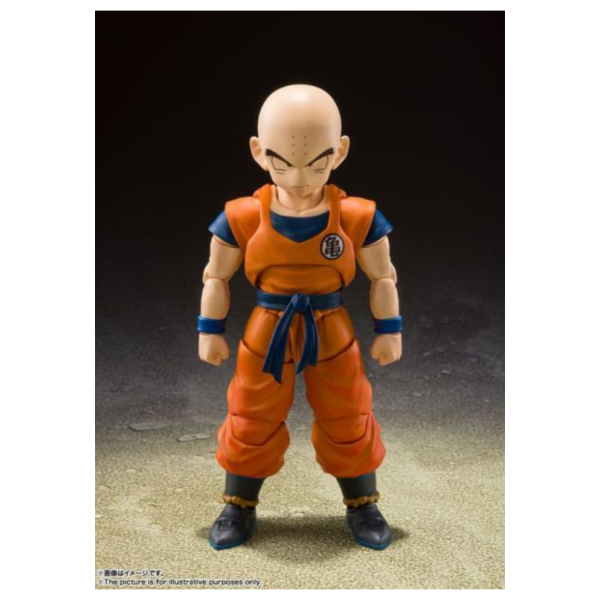 預購26年5月 代理版 SHF 七龍珠 克林 地球最強的男人 再版 